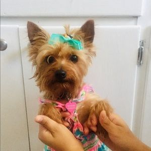 Meet your Posher, Karina